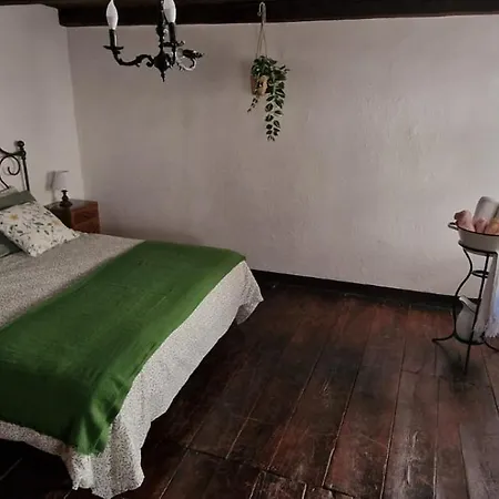 Casa L'acerone Διαμέρισμα