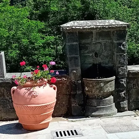 Casa L'acerone Appartamento Pian degli Ontani